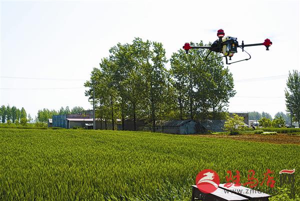 guols1804308.jpg
