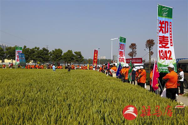 guols1805127.jpg