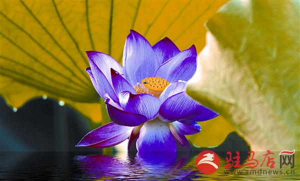wangy180788.jpg