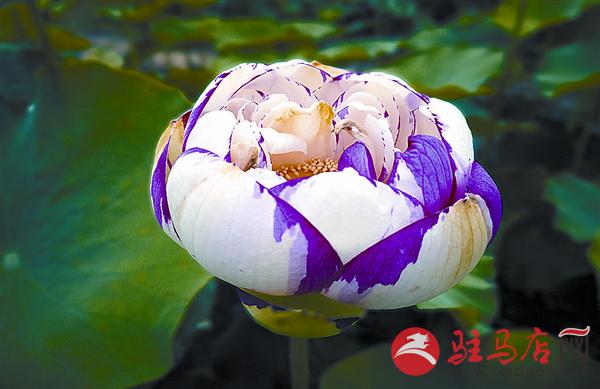 wangy180793.jpg