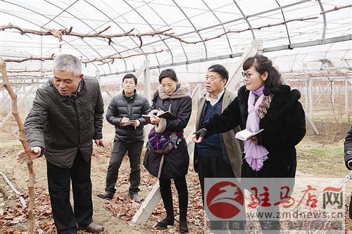 guols1512251.jpg