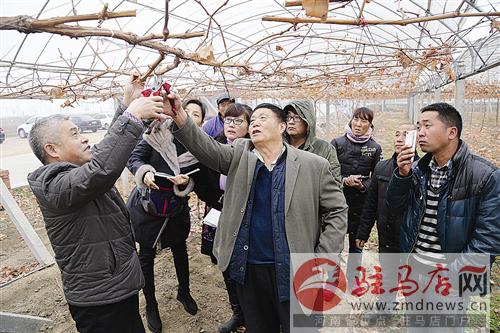 guols1512252.jpg