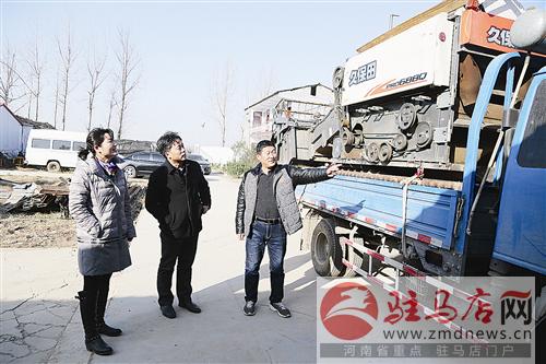guols1512267.jpg