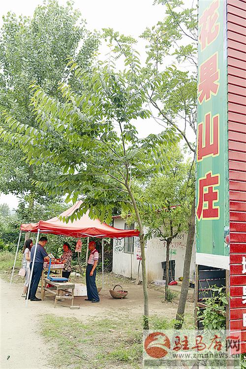 guols1606188.jpg