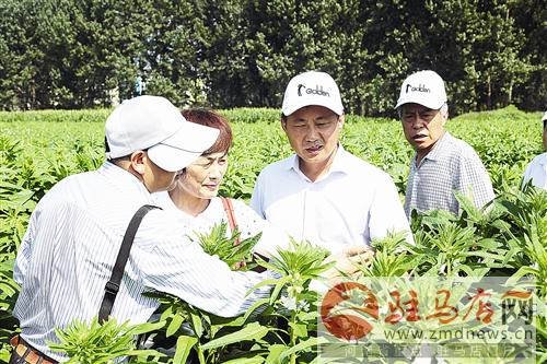 guols1607305.jpg