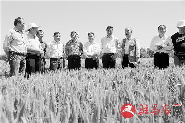 zhangz1505151.jpg