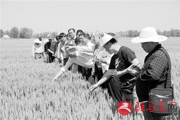 zhangz1505169.jpg