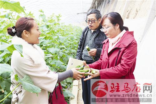 guols1511145.jpg
