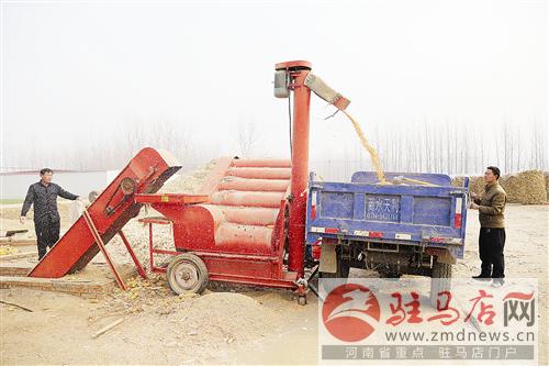 guols151263.jpg