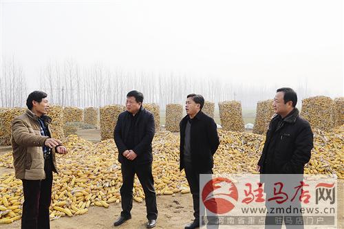 guols151264.jpg