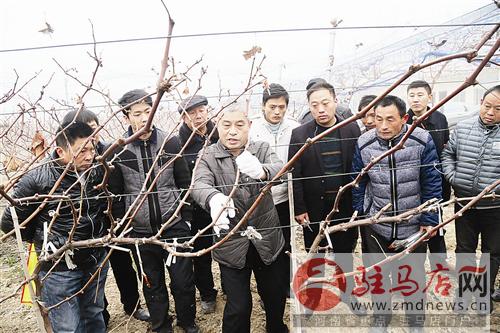 guols160192.jpg