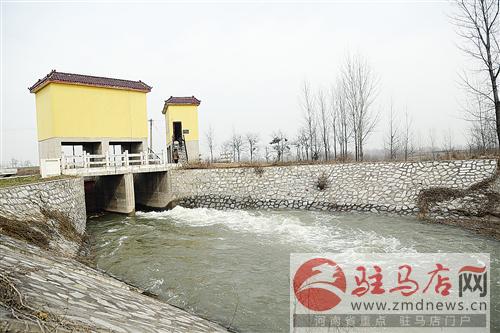 guols1601264.jpg