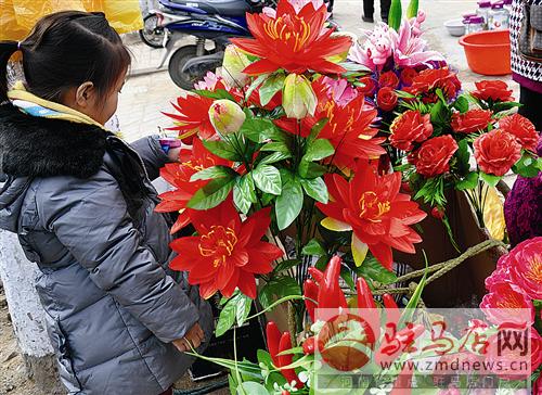 guols1601323.jpg