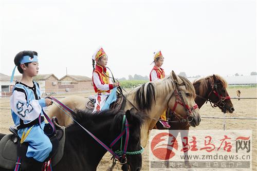 wub1606209.jpg