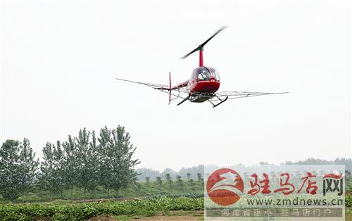 wub1607242.jpg