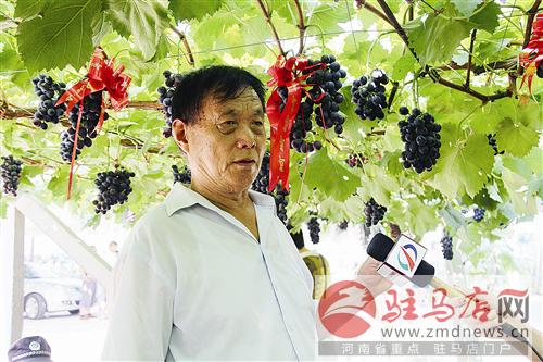 guols1607323.jpg
