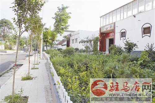 wub1608107.jpg