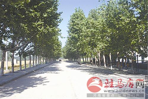 guols1611437.jpg