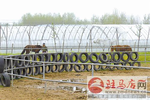 guols170463.jpg