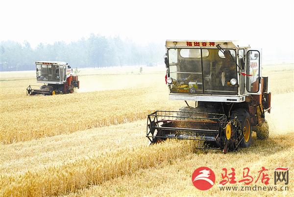 guols1706187.jpg