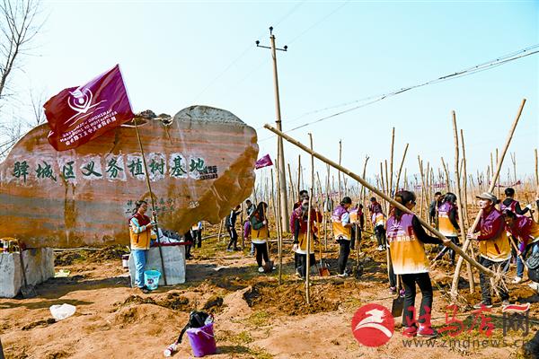 432884_ֲ.jpg
