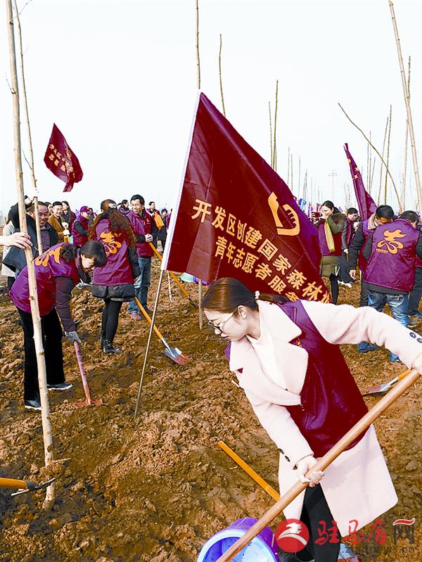 lik18031.jpg