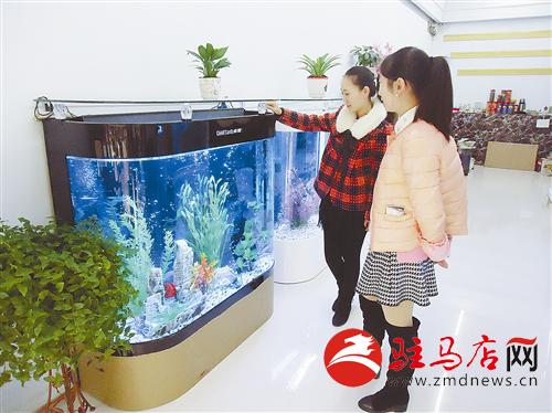 zhangz1411203.jpg