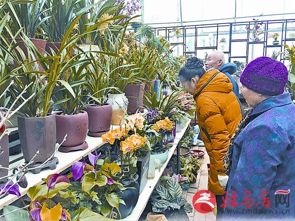 yuanzh180162.jpg