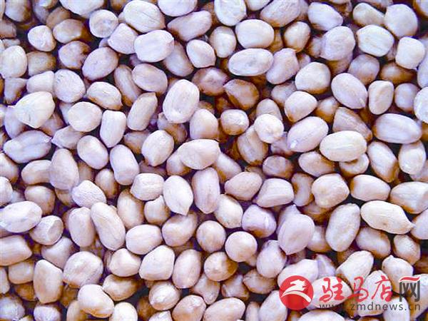 yuanzh150451.jpg