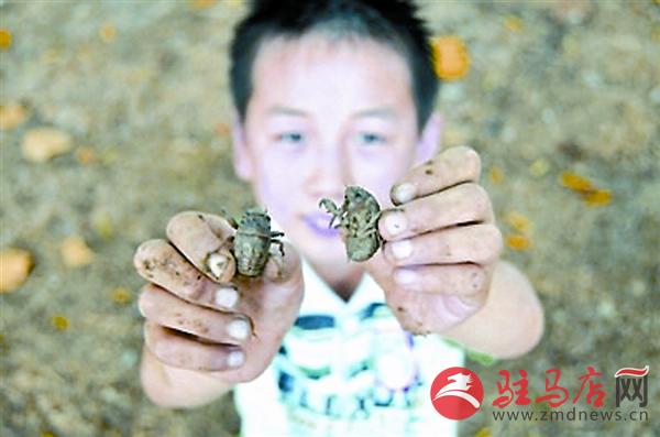 wangk1507431.jpg