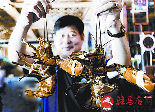 yuanzh1507114.jpg