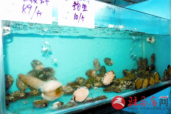 yuanzh151042.jpg