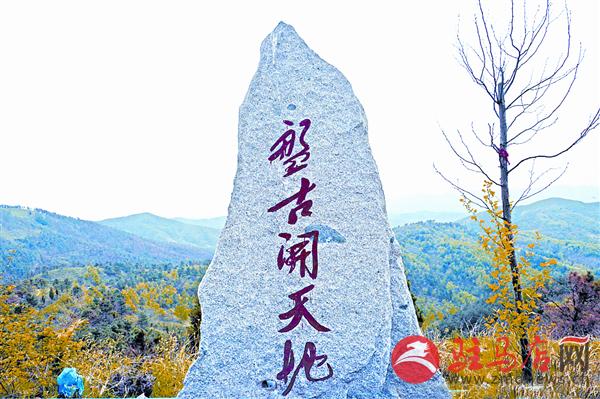 wangy160432.jpg
