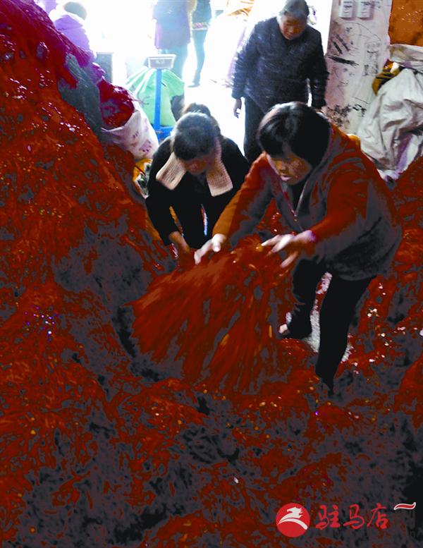 luf1509314.jpg