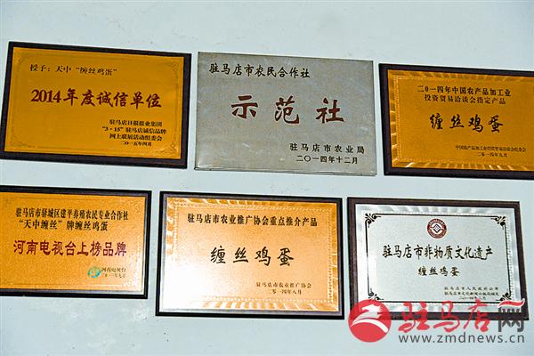 luf1511132.jpg