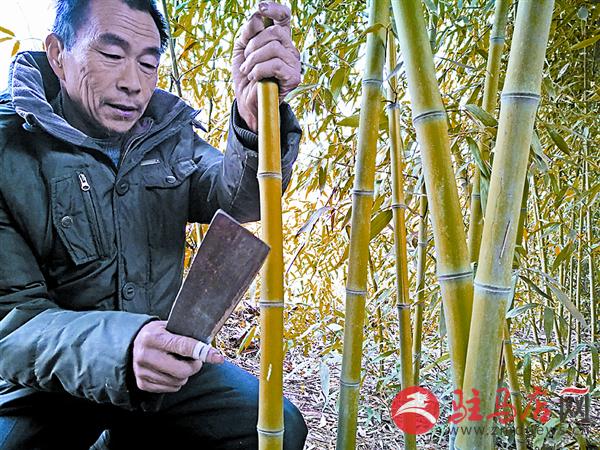 wangy170128.jpg
