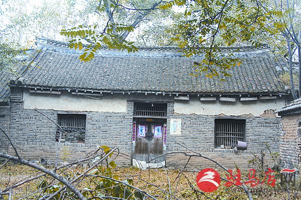 reny1511115.jpg