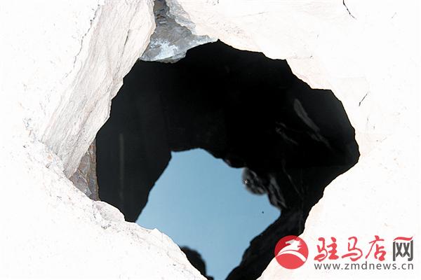wangy1503159.jpg