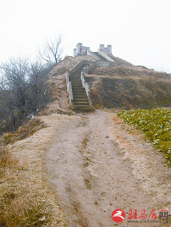 reny150333.jpg