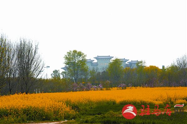 reny150428.jpg