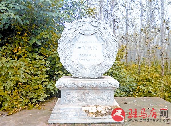 wangy171260.jpg