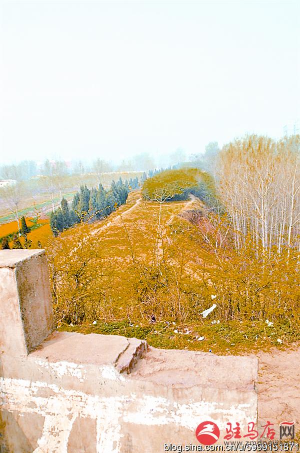 wangy180152.jpg