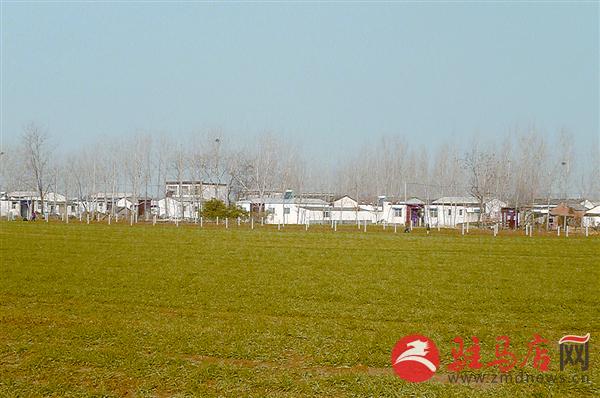 reny170146.jpg