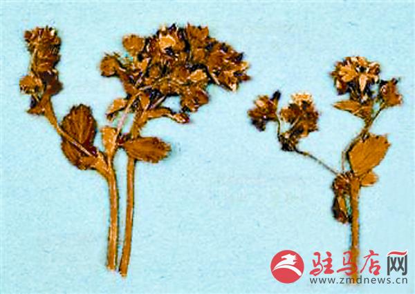 yuanzh180368.jpg