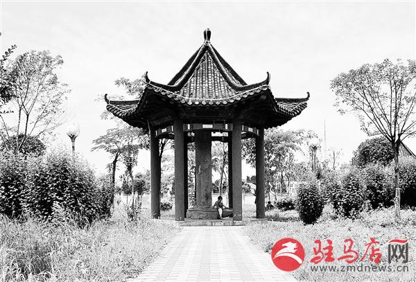 zhangz150263.jpg