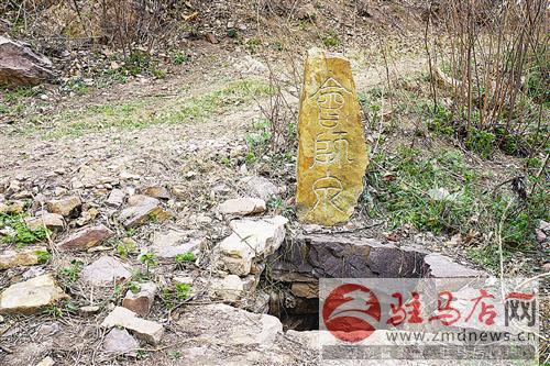 guols1512291.jpg