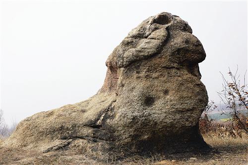 guols1511350.jpg