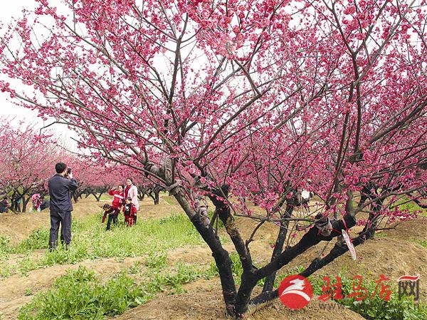 guols160330.jpg