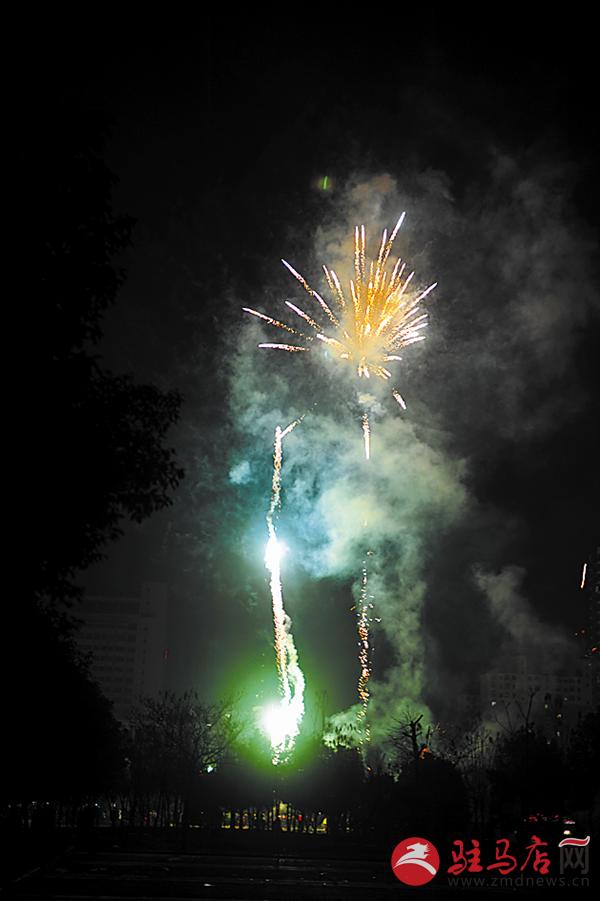 DSC_4168.jpg