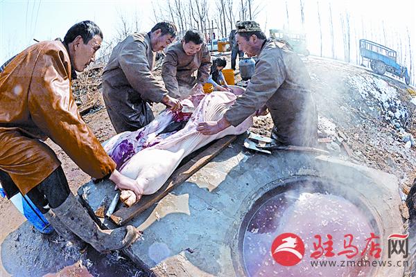 reny160219.jpg